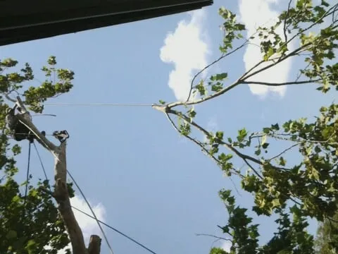 Affordable outdoor landscaping in New Port Richey, FL - About Greener Grass