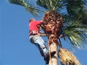 Custom landscape installation experts serving New Port Richey, FL - About Greener Grass