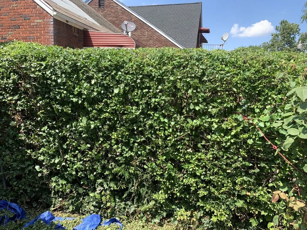 Trusted landscape installation in Detroit, MI by About Time Lawn Care