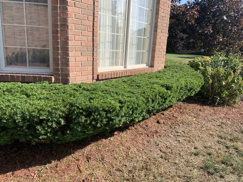 Professional landscape design in Detroit, MI - About Time Lawn Care