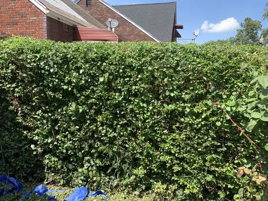 About Time Lawn Care Logo