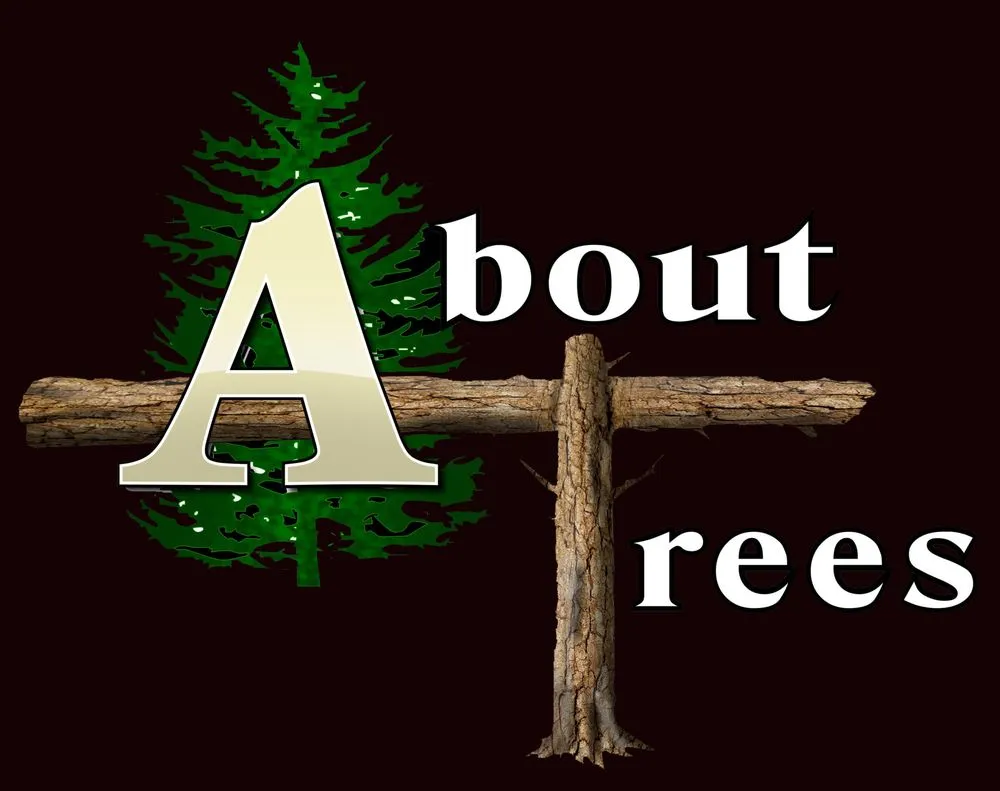 Top-rated yard maintenance for beautiful yards in Redding, CA by About Trees