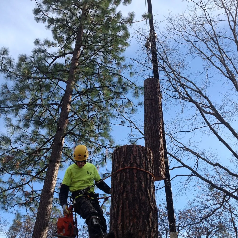 Expert garden landscaping in Redding, CA by About Trees