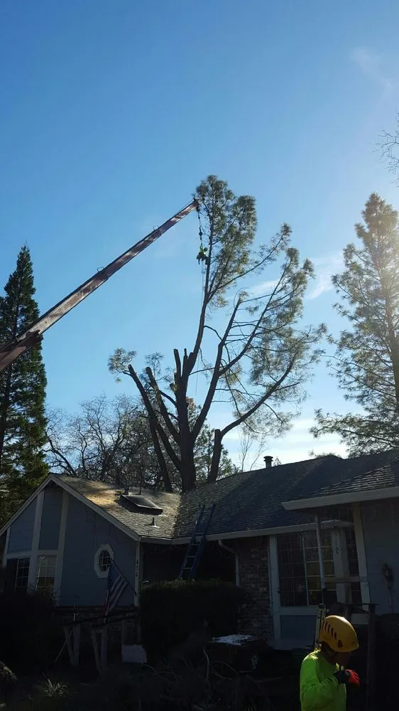 Expert lawn mowing service for residential properties in Redding, CA by About Trees