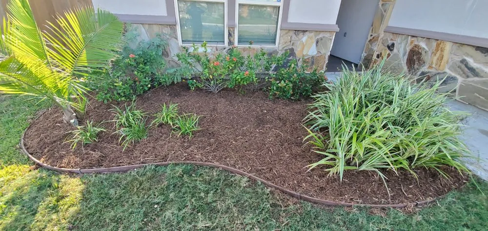 Trusted landscape design experts serving Corpus Christi, TX - Above & Beyond - All Around Home Care