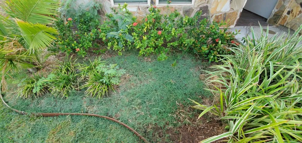 Top-rated yard maintenance with custom design in Corpus Christi, TX by Above & Beyond - All Around Home Care