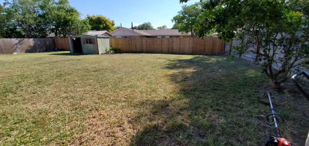 Reliable yard cleanup service with custom design in Corpus Christi, TX by Above & Beyond - All Around Home Care