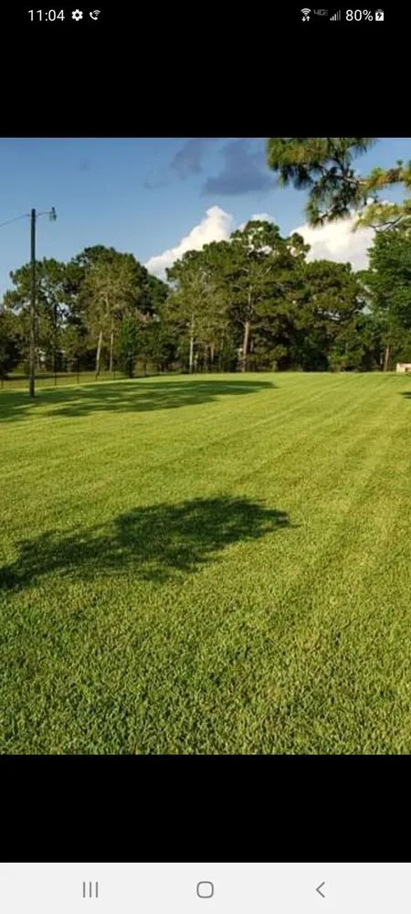 Affordable residential landscaping in Brooksville, FL - Above & Beyond All Lawn Care
