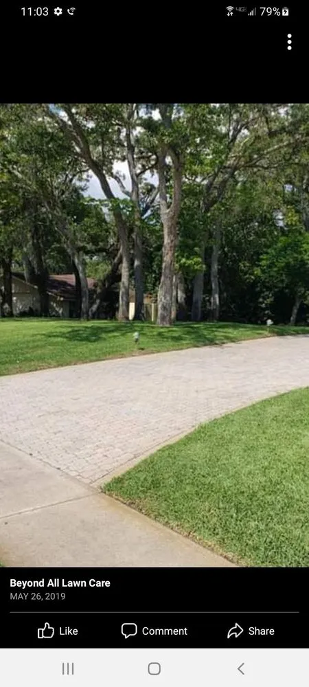 Local lawn care service in Brooksville, FL by Above & Beyond All Lawn Care