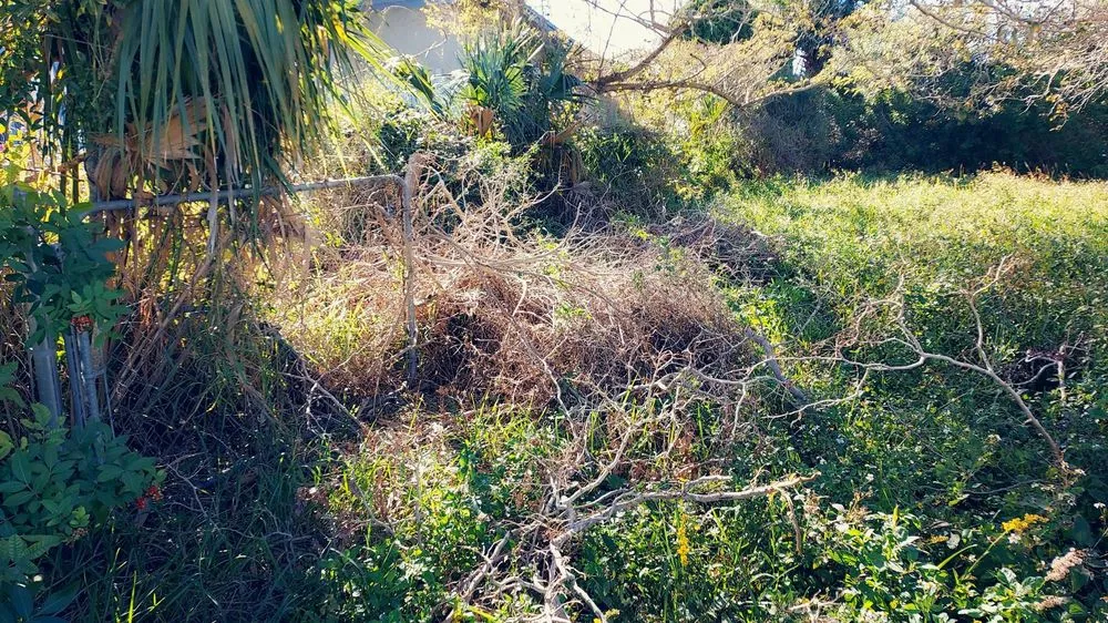 Custom residential landscaping in Brooksville, FL by Above & Beyond All Lawn Care