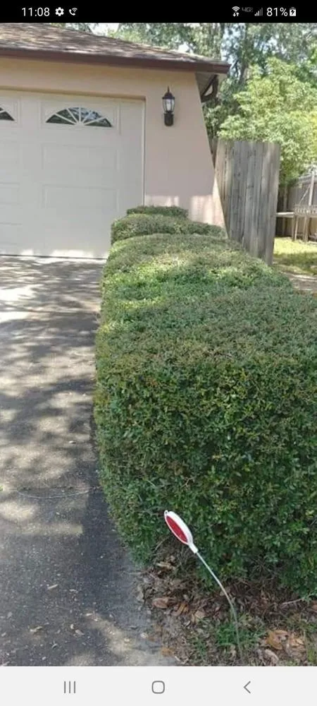 Custom yard cleanup service in Brooksville, FL by Above & Beyond All Lawn Care