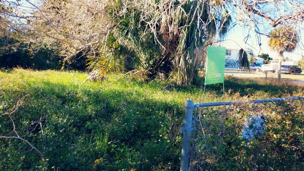 Professional landscape design for beautiful yards across Brooksville, FL - Above & Beyond All Lawn Care