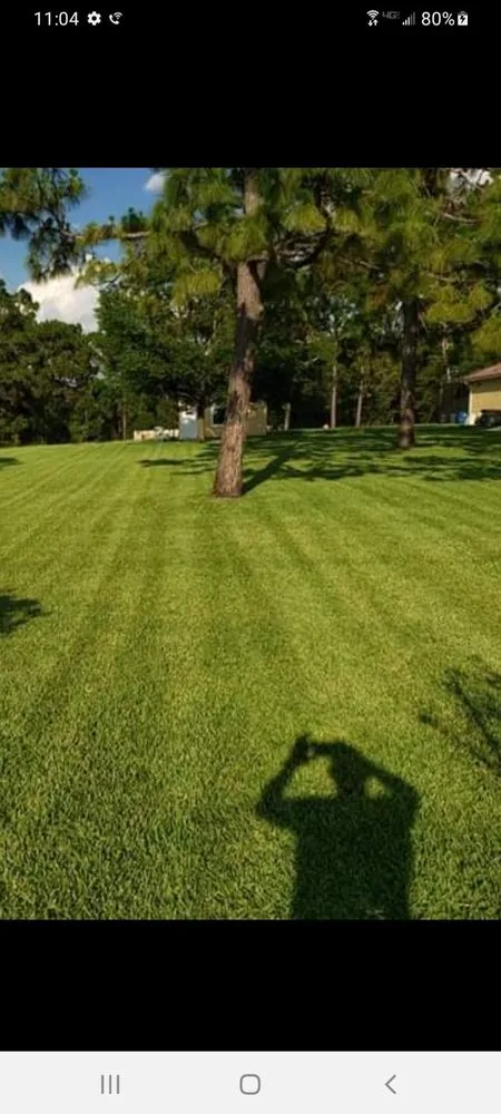 Reliable residential landscaping experts serving Brooksville, FL - Above & Beyond All Lawn Care