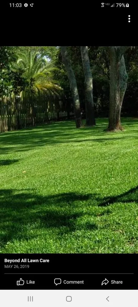 Professional lawn care service experts serving Brooksville, FL - Above & Beyond All Lawn Care
