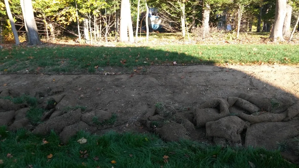 Top-rated lawn care service near you across Providence, RI - Above & Beyond Construction Services