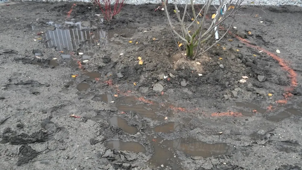 Affordable landscape design for homes across Providence, RI - Above & Beyond Construction Services