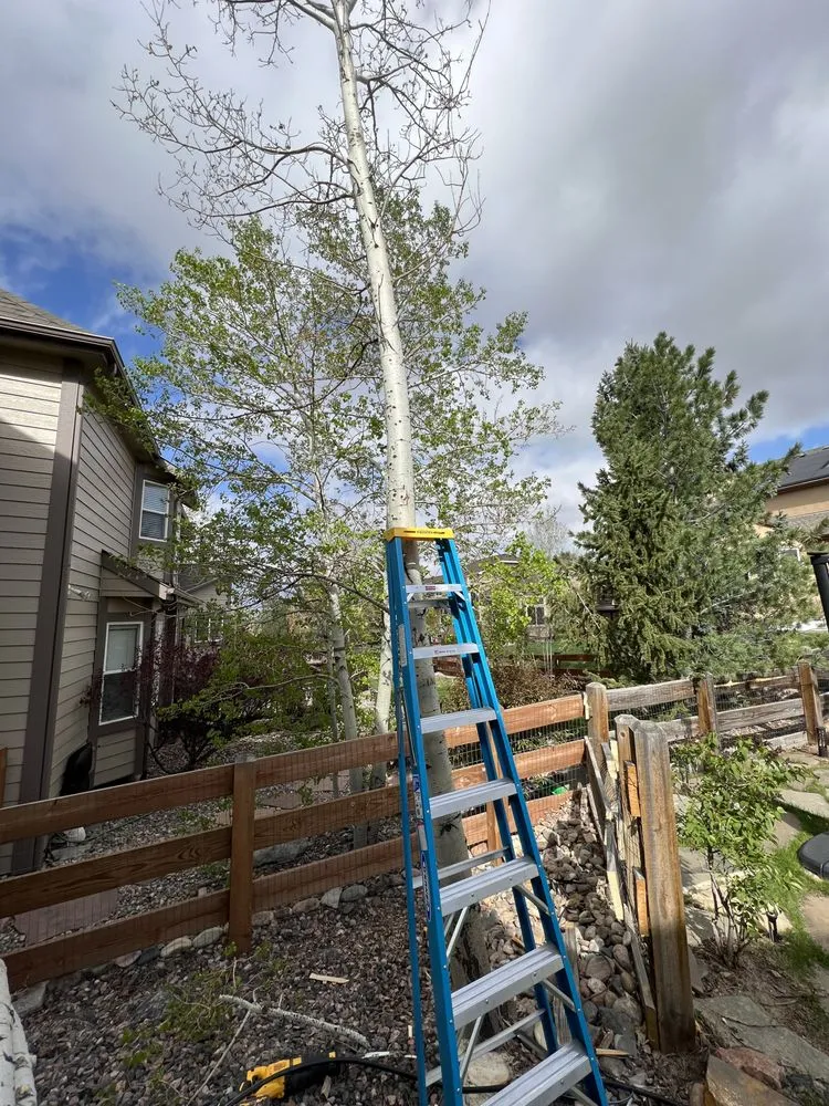 Top-rated lawn care service in Fountain, CO by Above & Beyond Contracting