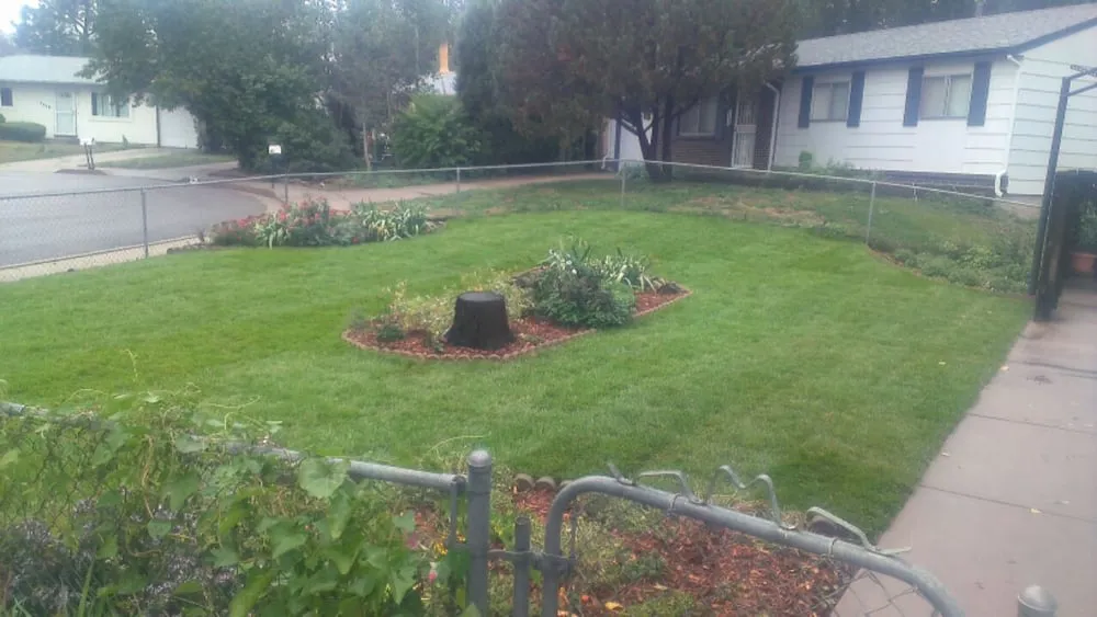 Affordable landscaping services with custom design in Colorado Springs, CO by Above & Beyond Home Remodeling Repair and Landscaping