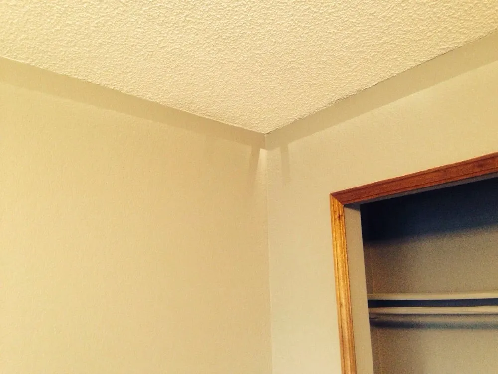 Reliable yard cleanup service in Colorado Springs, CO by Above & Beyond Home Remodeling Repair and Landscaping