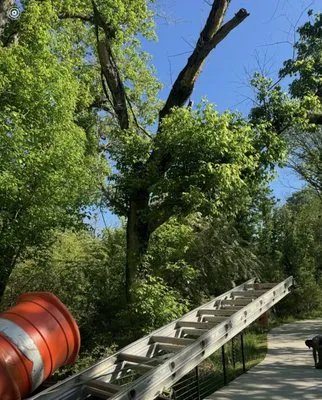 Above & Beyond Home Services Logo