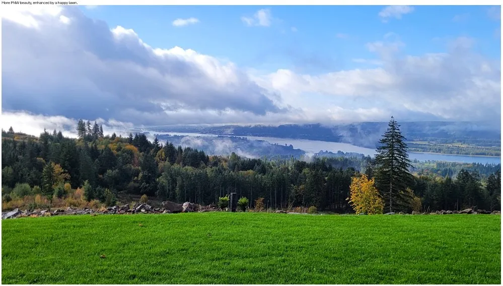 Top-rated landscape installation for outdoor upgrades across Ridgefield, WA - Above & Beyond Hydroseed