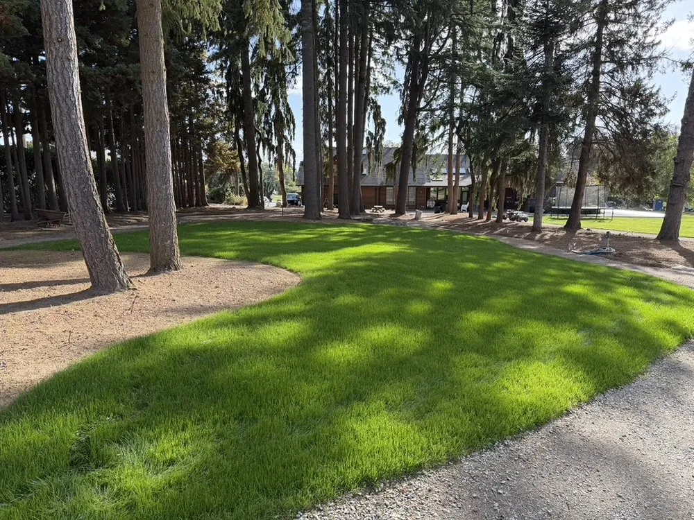 Top-rated landscaping services in Ridgefield, WA - Above & Beyond Hydroseed