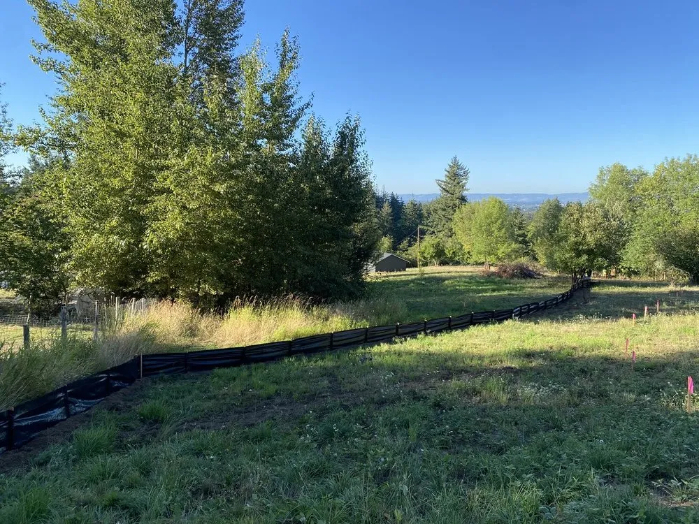 Reliable landscape installation in Ridgefield, WA by Above & Beyond Hydroseed