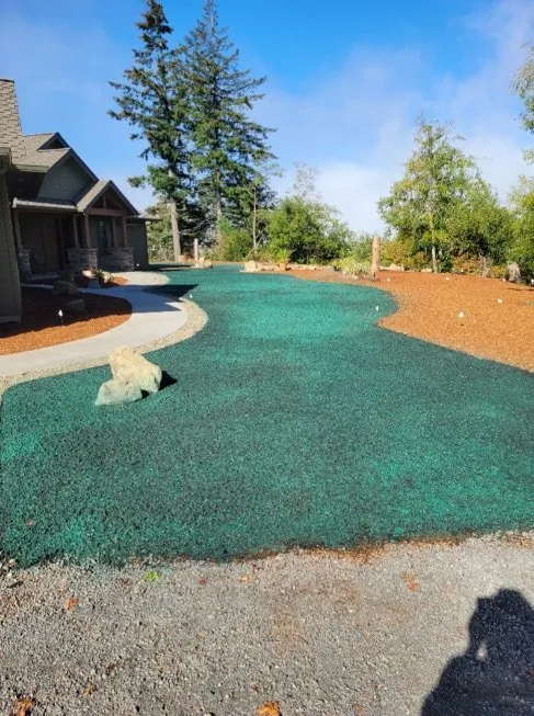 Expert yard cleanup service experts serving Ridgefield, WA - Above & Beyond Hydroseed