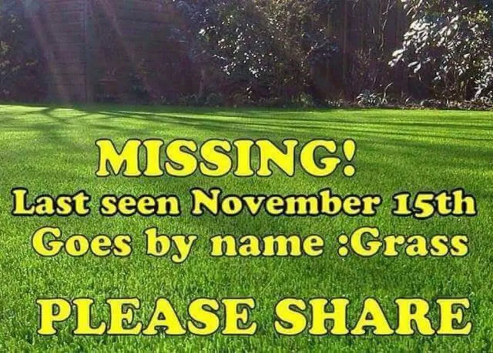 Top-rated landscape design experts serving Pawtucket, RI - Above & Beyond Landscape