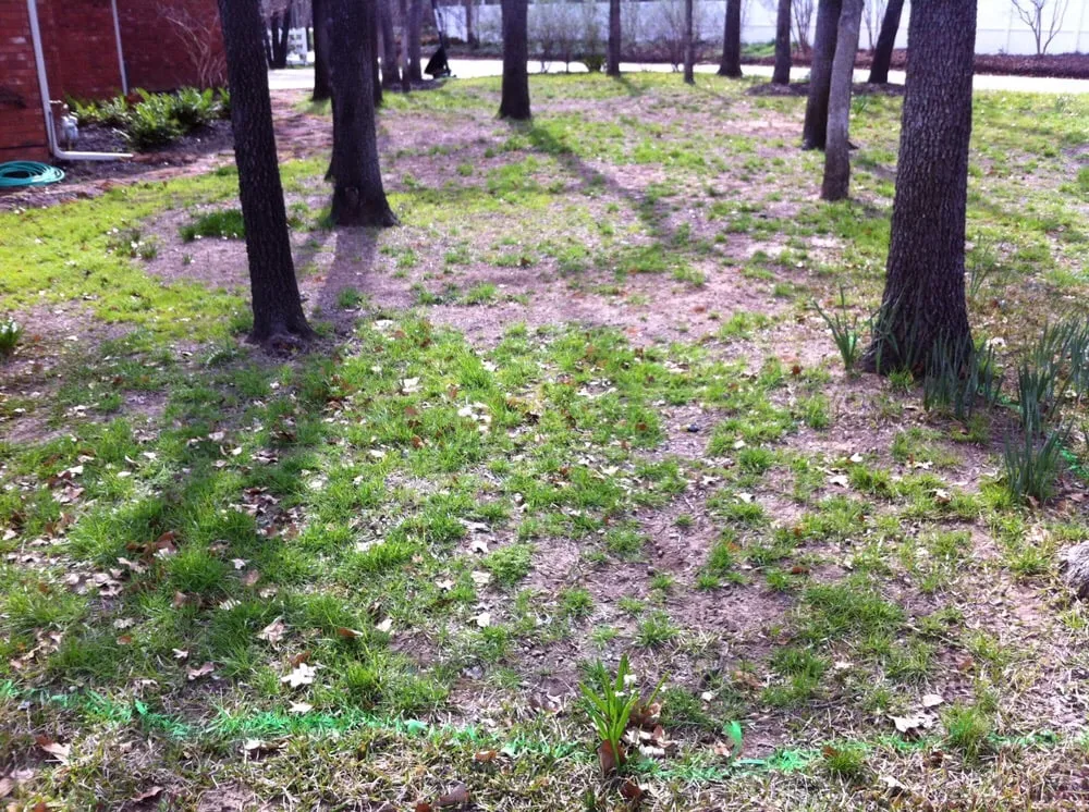 Expert lawn mowing service in Southlake, TX by Above & Beyond Landscaping