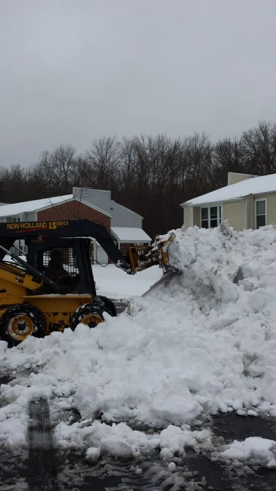 Custom landscape installation for outdoor upgrades in Spotsylvania, VA by Above & Beyond Landscaping