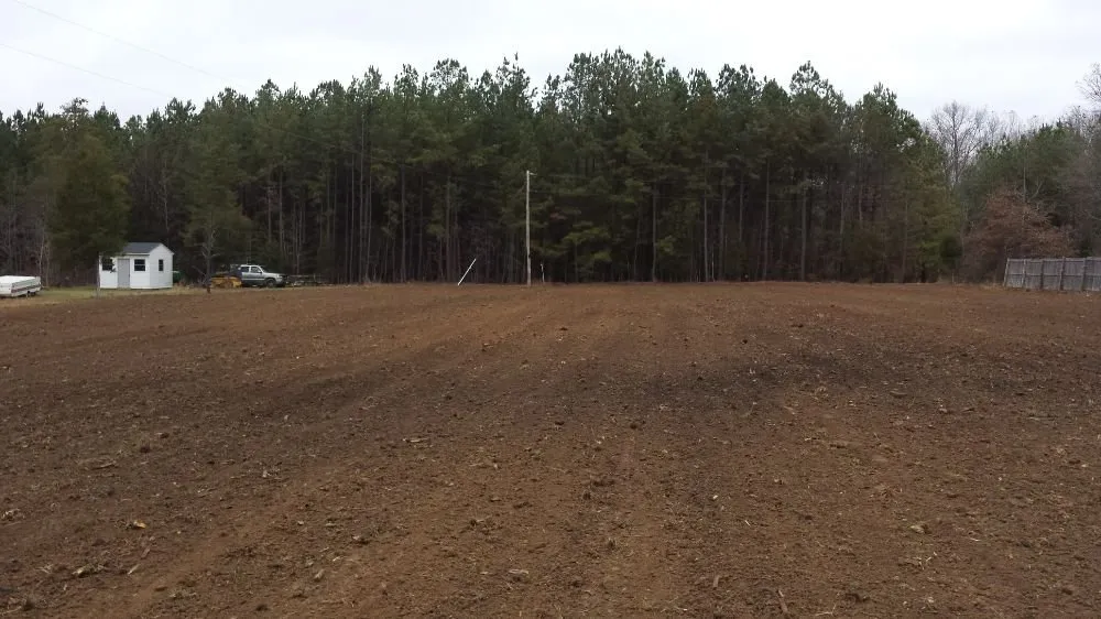 Top-rated yard cleanup service in Spotsylvania, VA - Above & Beyond Landscaping