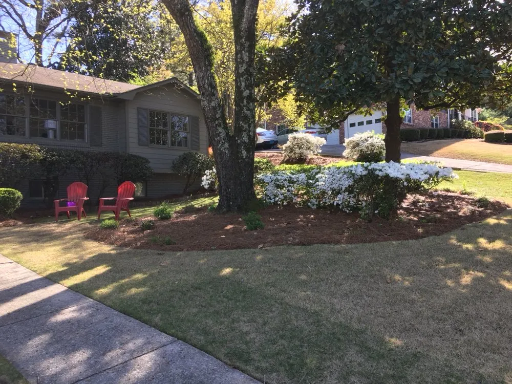 Expert landscape design experts serving Mt Olive, AL - Above & Beyond Lawn Care