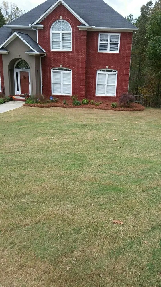 Top-rated landscaping services in Mt Olive, AL - Above & Beyond Lawn Care