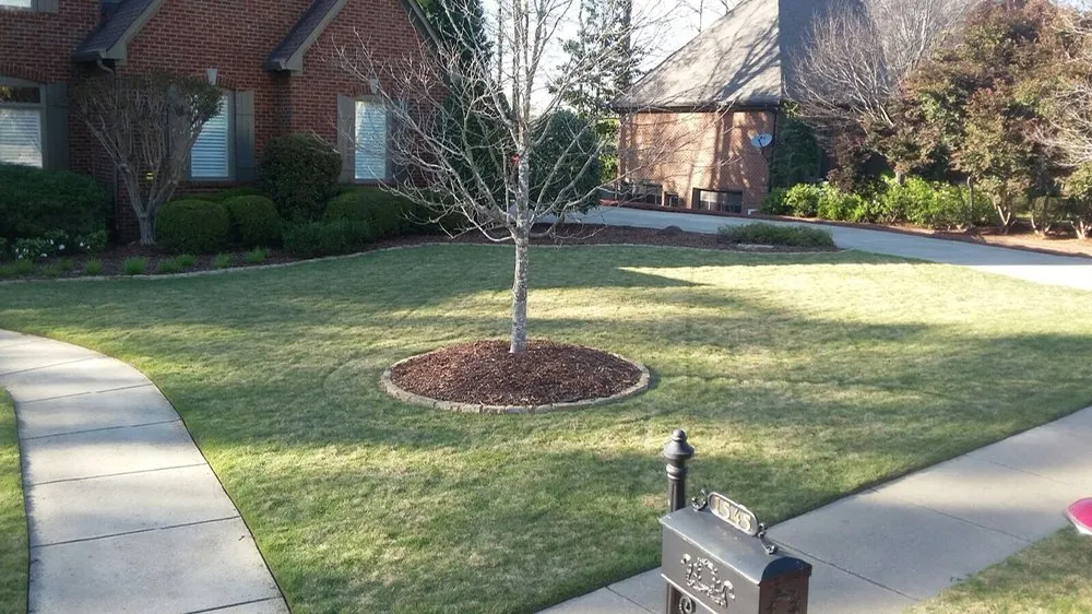 Expert residential landscaping for outdoor upgrades across Mt Olive, AL - Above & Beyond Lawn Care