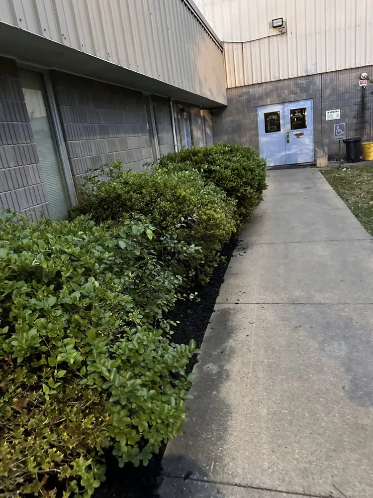 Local lawn mowing service experts serving Senatobia, MS - Above & Beyond Lawn Care