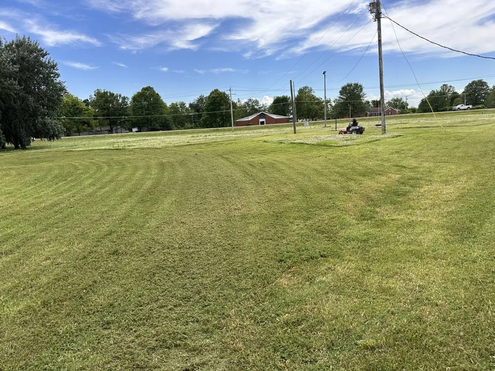 Trusted lawn mowing service experts serving Senatobia, MS - Above & Beyond Lawn Care