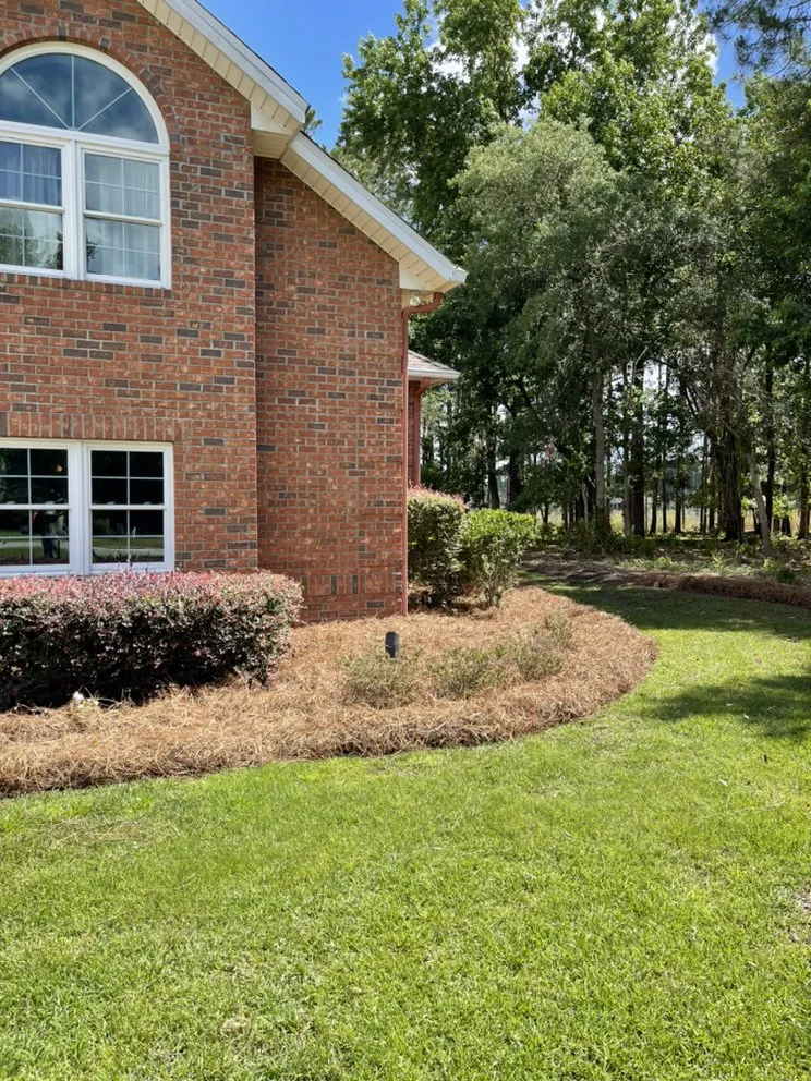 Reliable yard maintenance in Waycross, GA - Above + Beyond Lawn Care