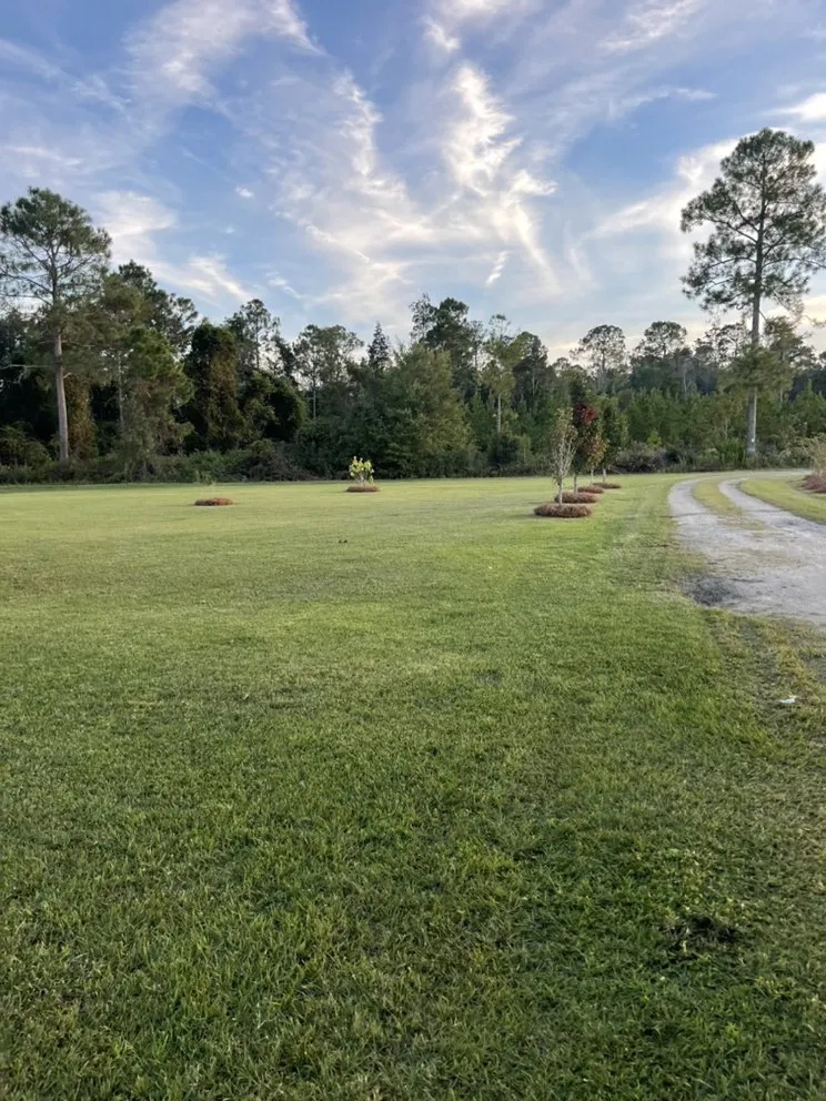 Custom garden landscaping in Waycross, GA - Above + Beyond Lawn Care