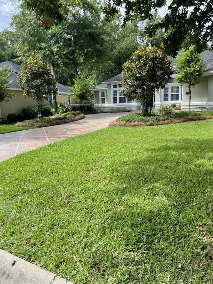 Trusted landscaping services in Waycross, GA - Above + Beyond Lawn Care