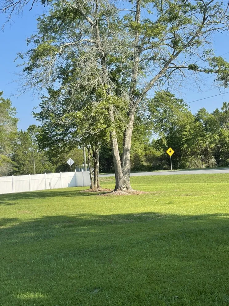 Affordable landscaping services for residential properties in Waycross, GA by Above + Beyond Lawn Care