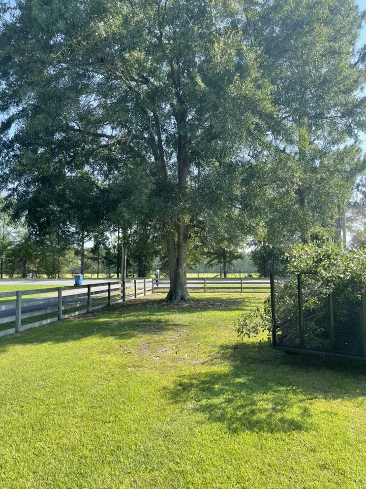 Local landscape installation in Waycross, GA - Above + Beyond Lawn Care