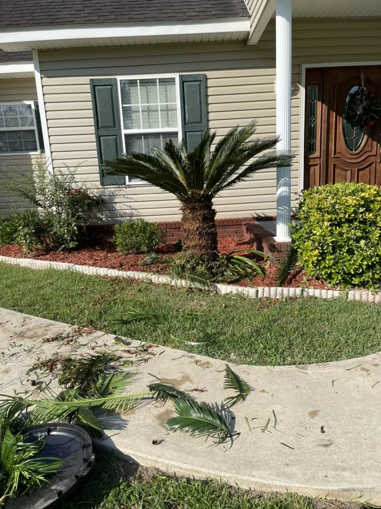 Local landscape installation with custom design in Waycross, GA by Above + Beyond Lawn Care