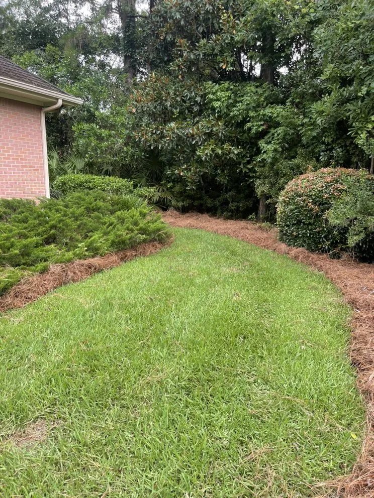 Professional lawn care service for homes across Waycross, GA - Above + Beyond Lawn Care