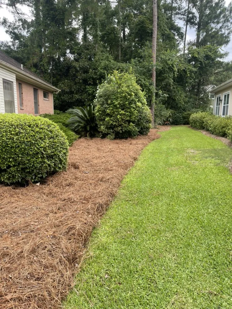 Expert lawn mowing service in Waycross, GA by Above + Beyond Lawn Care