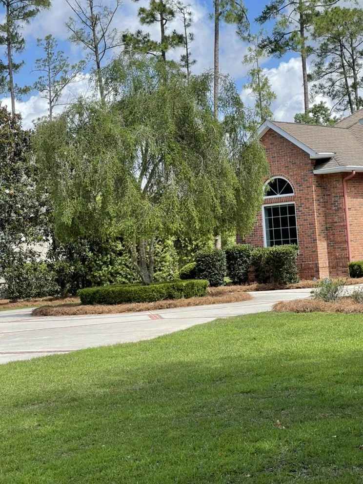 Top-rated landscape installation near you in Waycross, GA by Above + Beyond Lawn Care