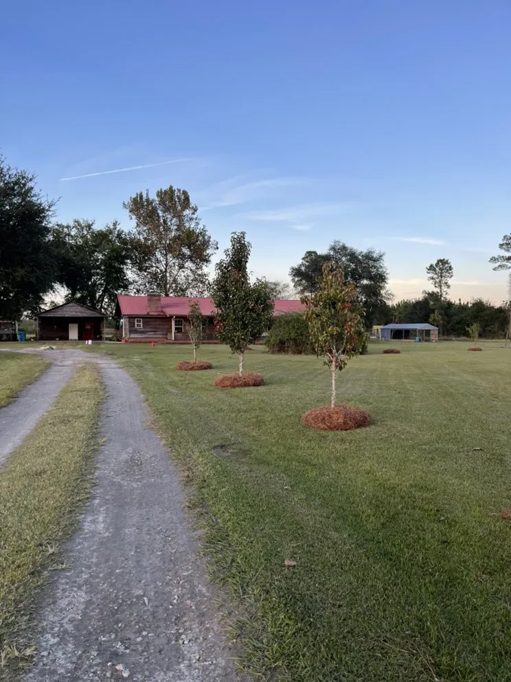 Professional landscape design with custom design in Waycross, GA by Above + Beyond Lawn Care