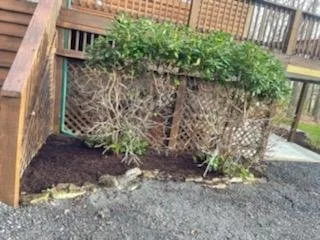 Reliable landscaping services in Oakland, MD - Above & Beyond