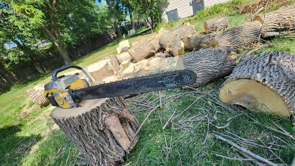 Local landscaping services in Clive, IA by Above & Beyond Outdoor