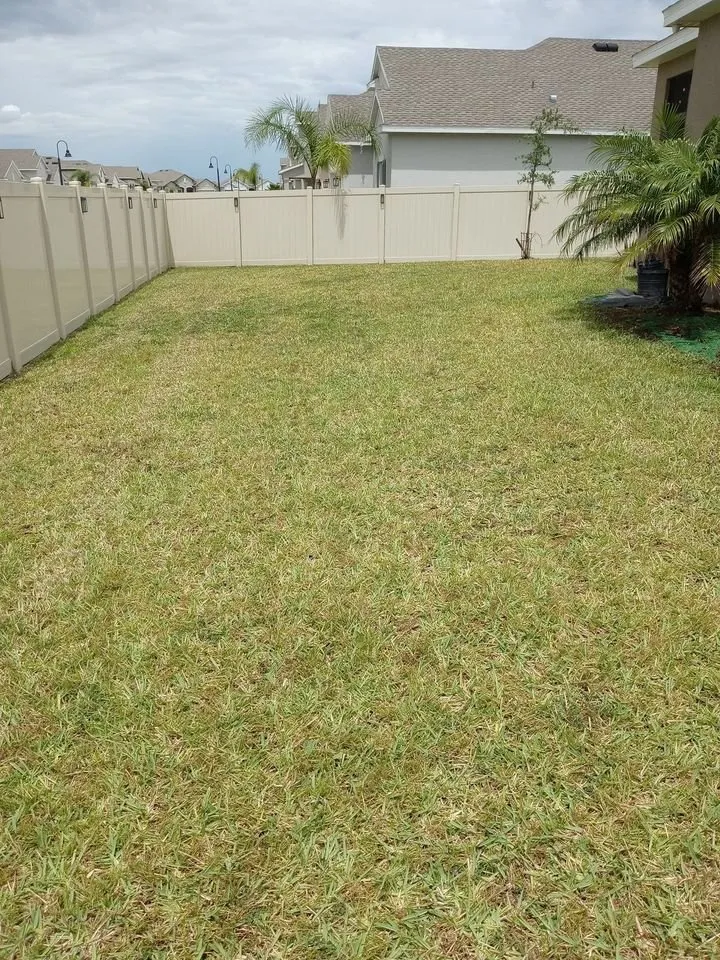 Local yard cleanup service in St Cloud, FL - Above & Beyond Pressure Washing & Landscaping